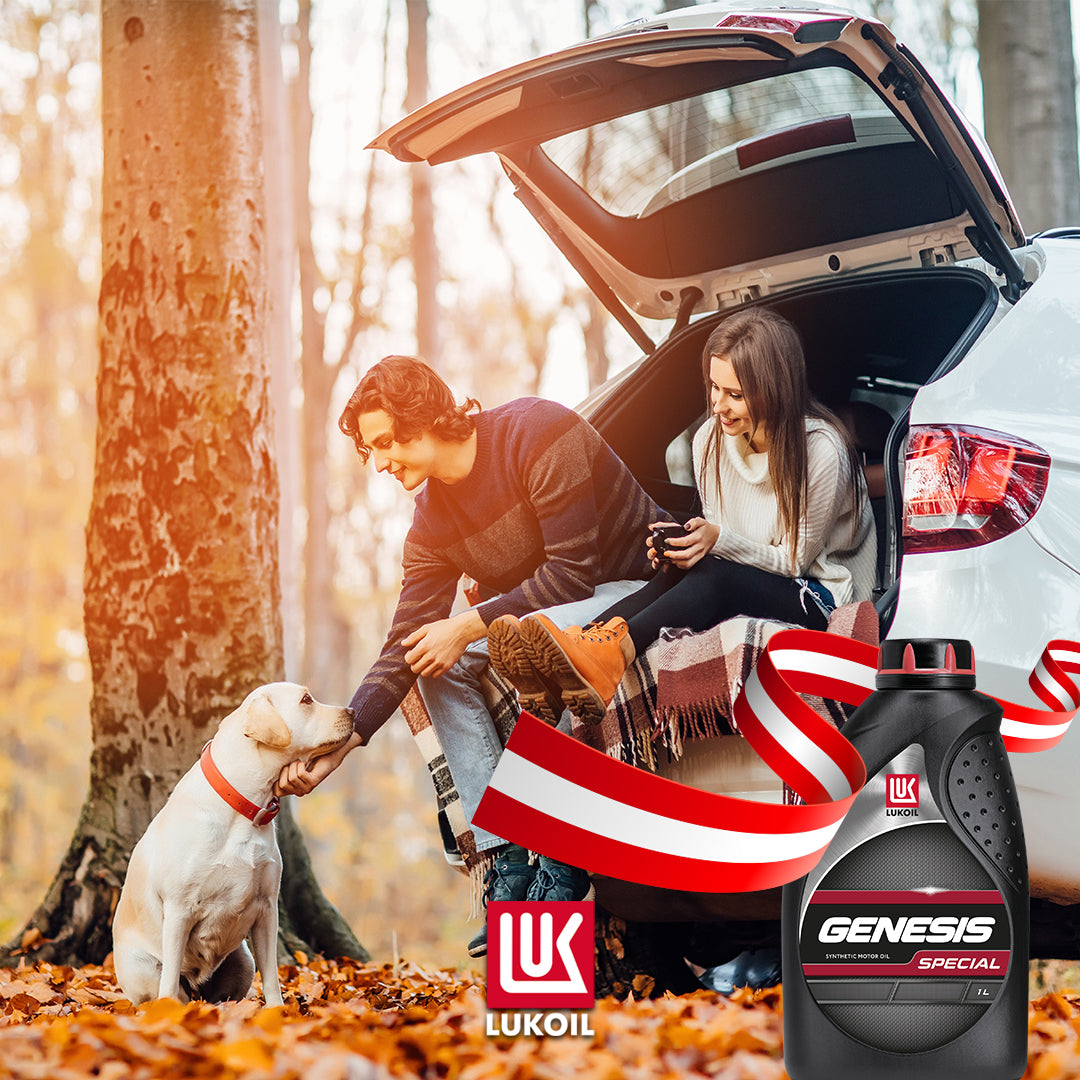 lukoil-lubricants-autumn-genesis.jpg__PID:7951c50c-e37f-48b1-af63-5ab6410e33ee